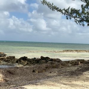 Meet your Posher, Finlee